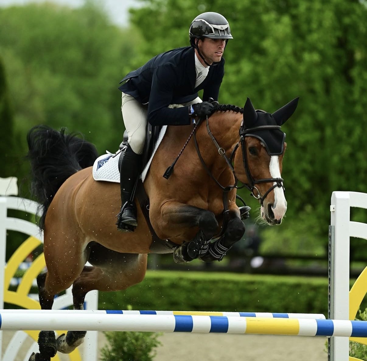 Close-up action shot of Kyle Gambino mid-jump on a bay horse, clearing a yellow-and-blue striped rail with manicured hedge backdrop, embodying technical precision